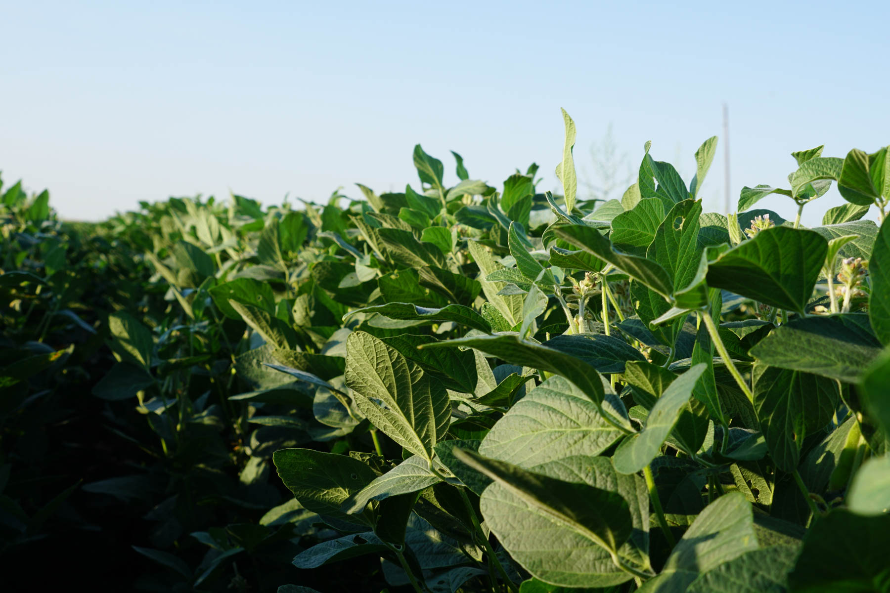 Witten Farms property picture 22 of 76