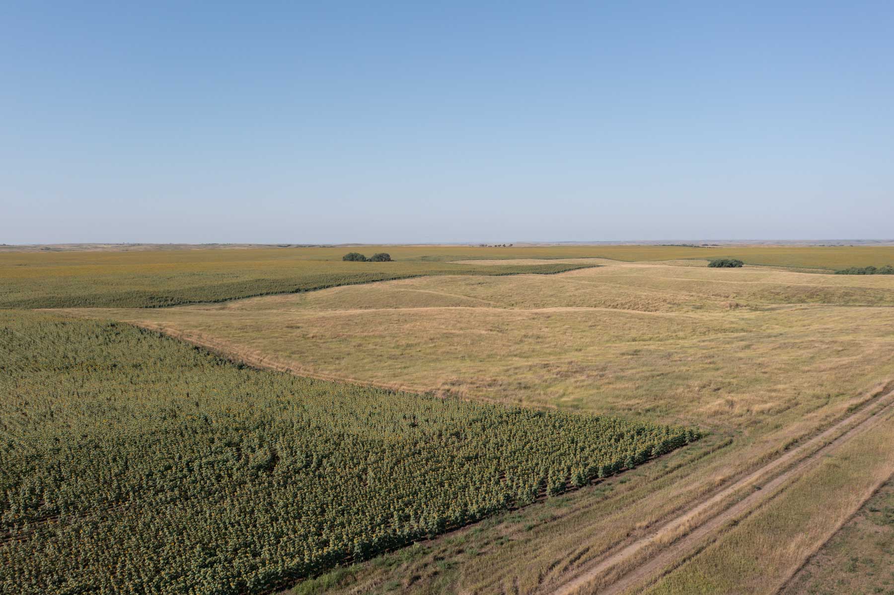 Witten Farms property picture 61 of 76