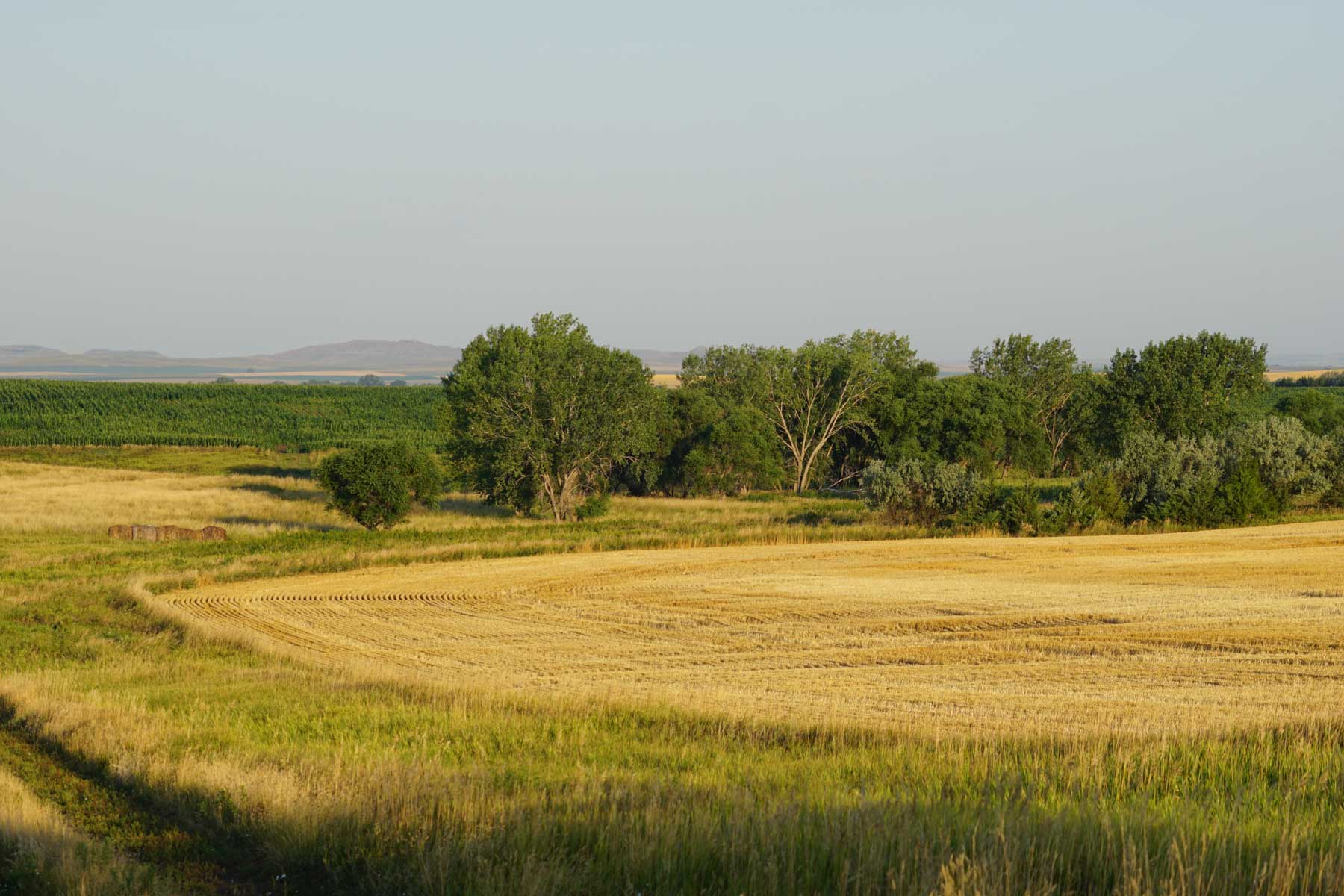Witten Farms property picture 15 of 76
