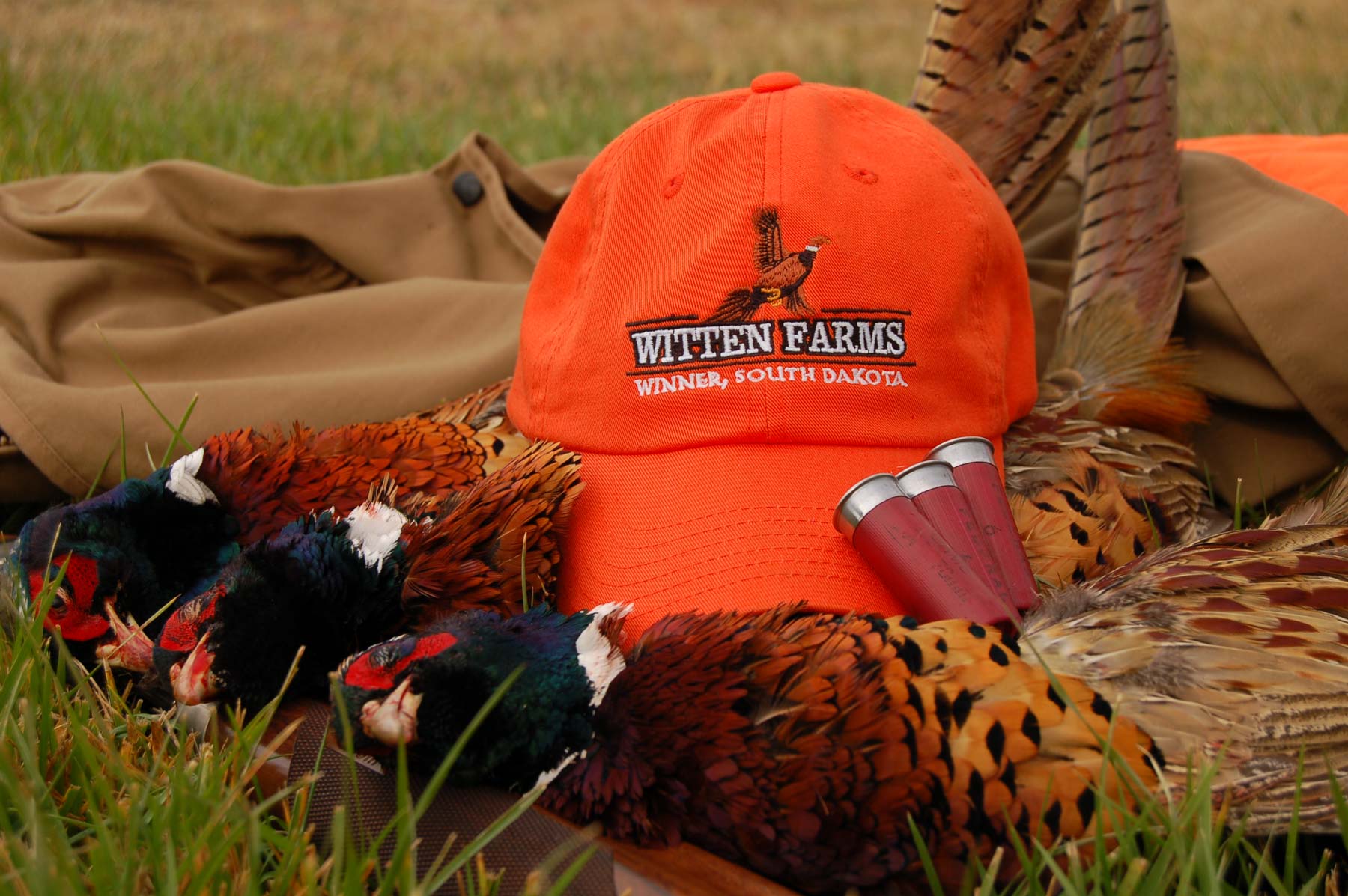 Witten Farms property picture 6 of 76