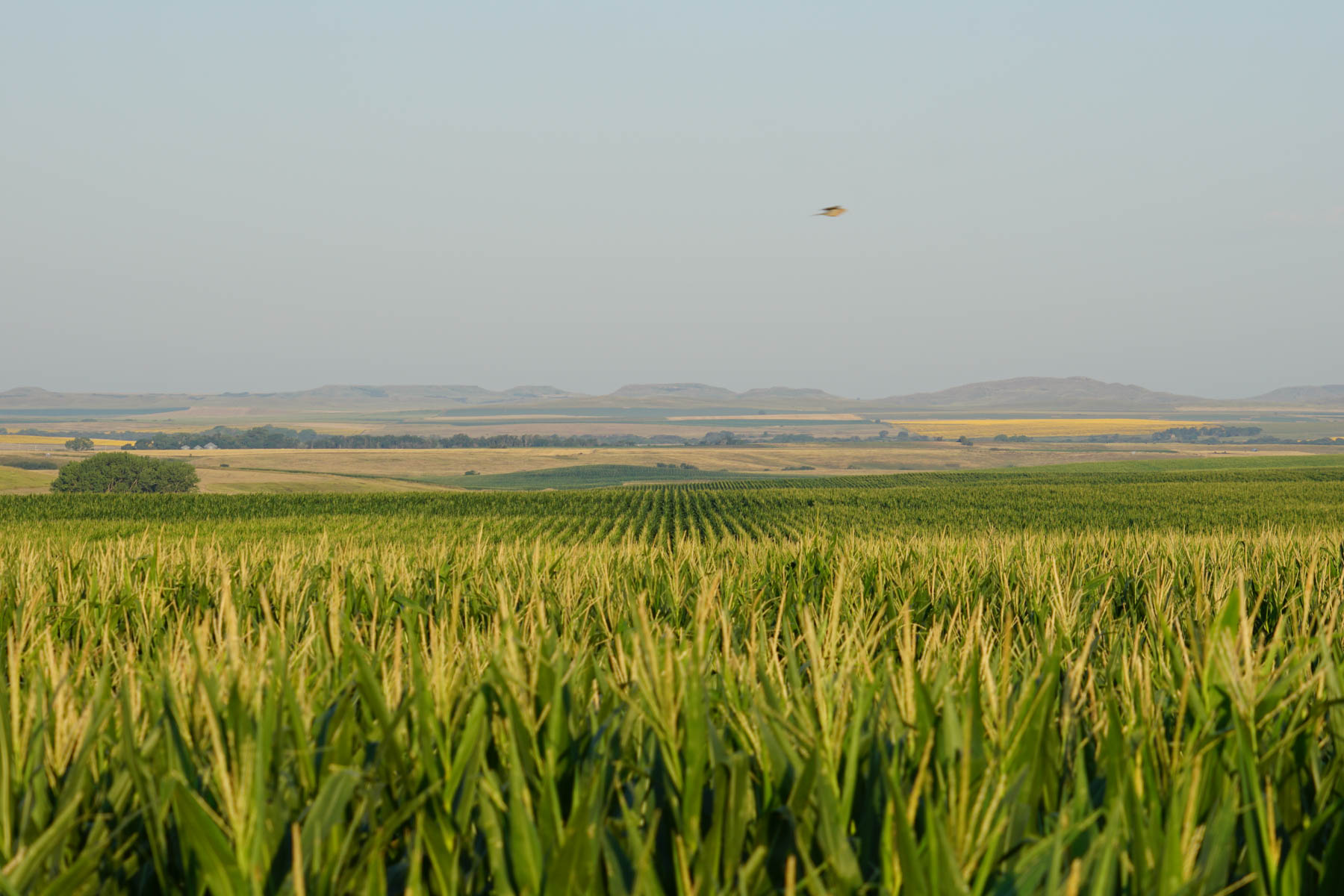 Witten Farms property picture 1 of 76