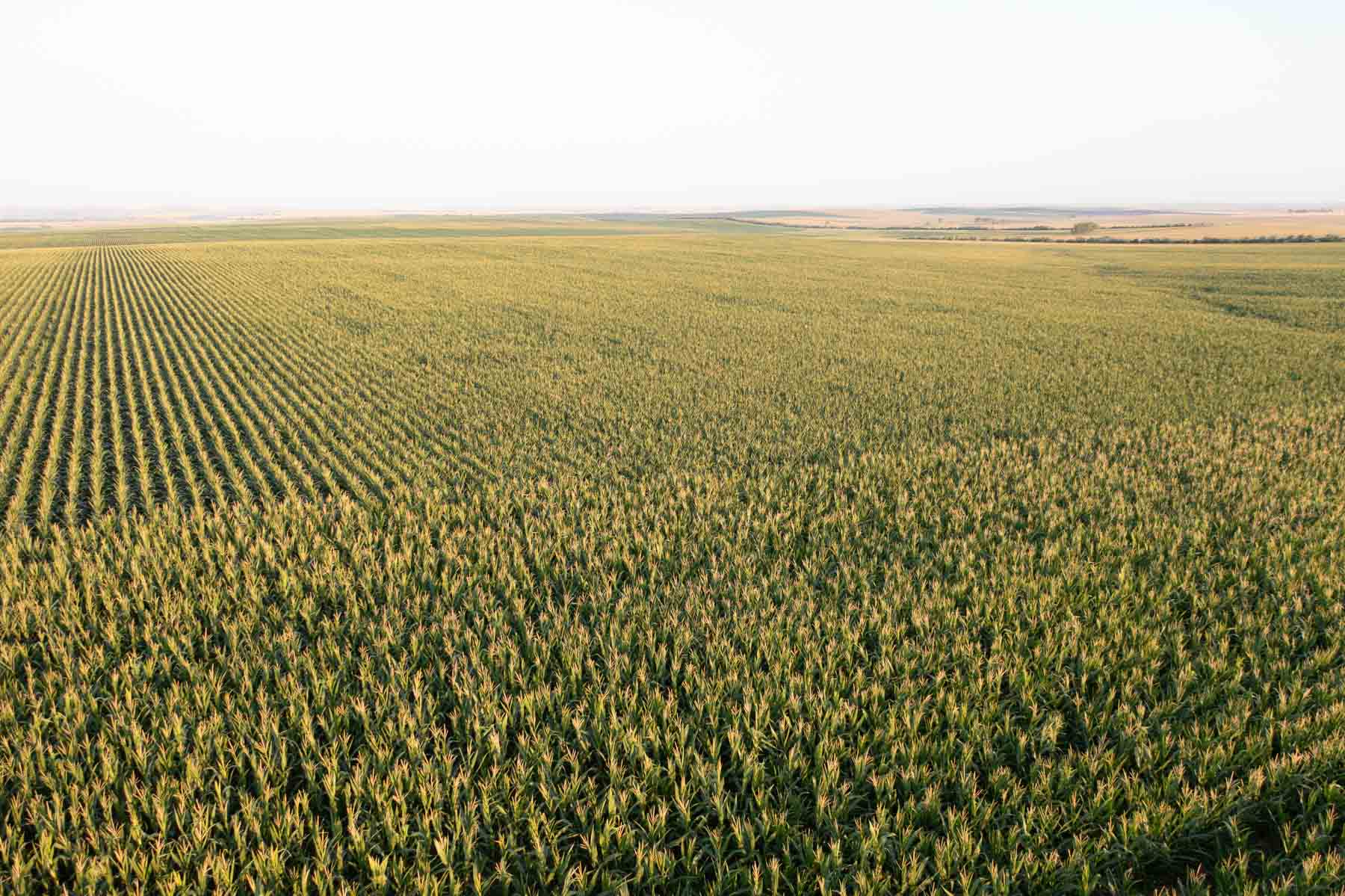 Witten Farms property picture 32 of 76