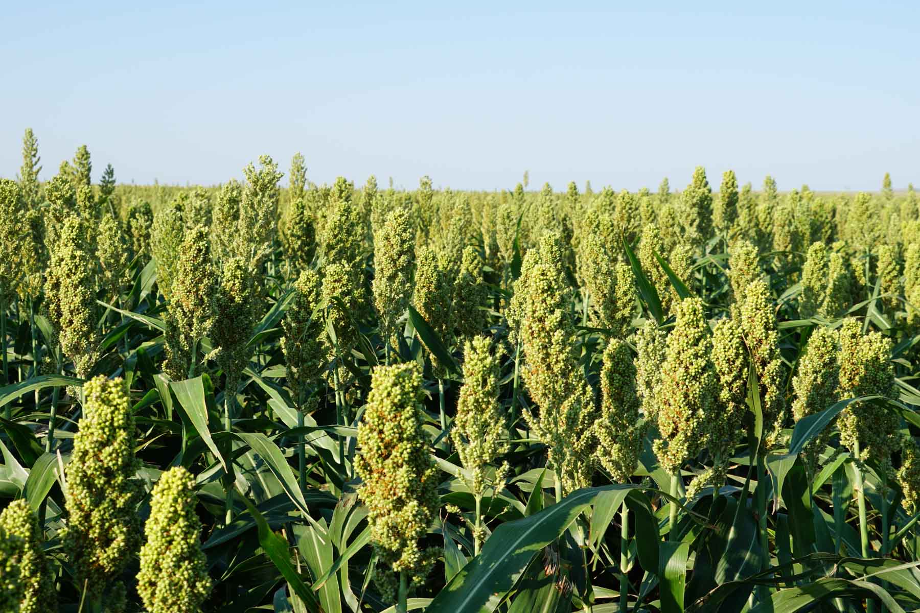 Witten Farms property picture 6 of 76