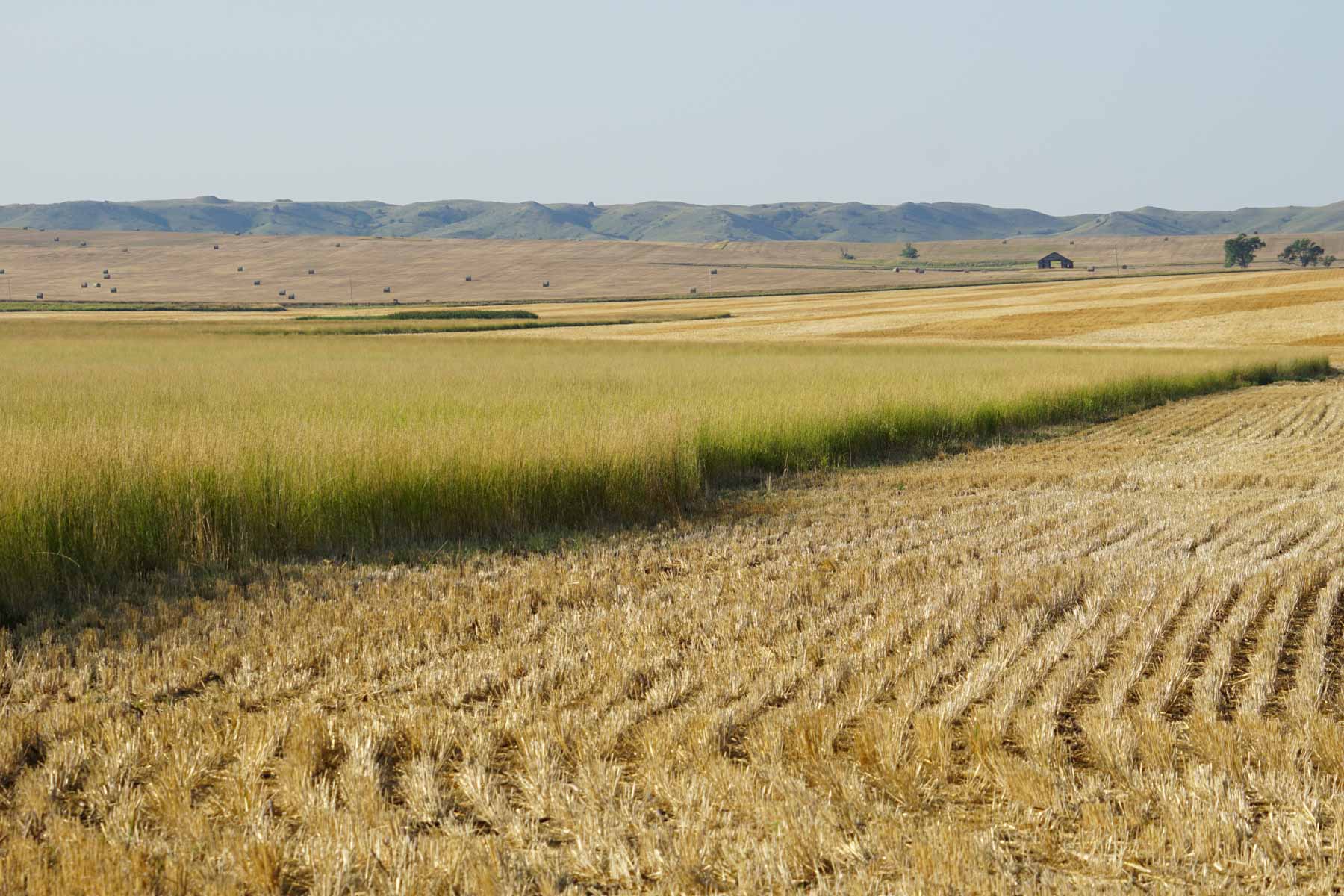 Witten Farms property picture 19 of 76