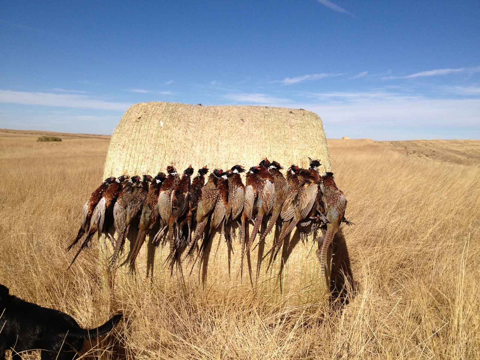 Witten Farms property picture 5 of 76