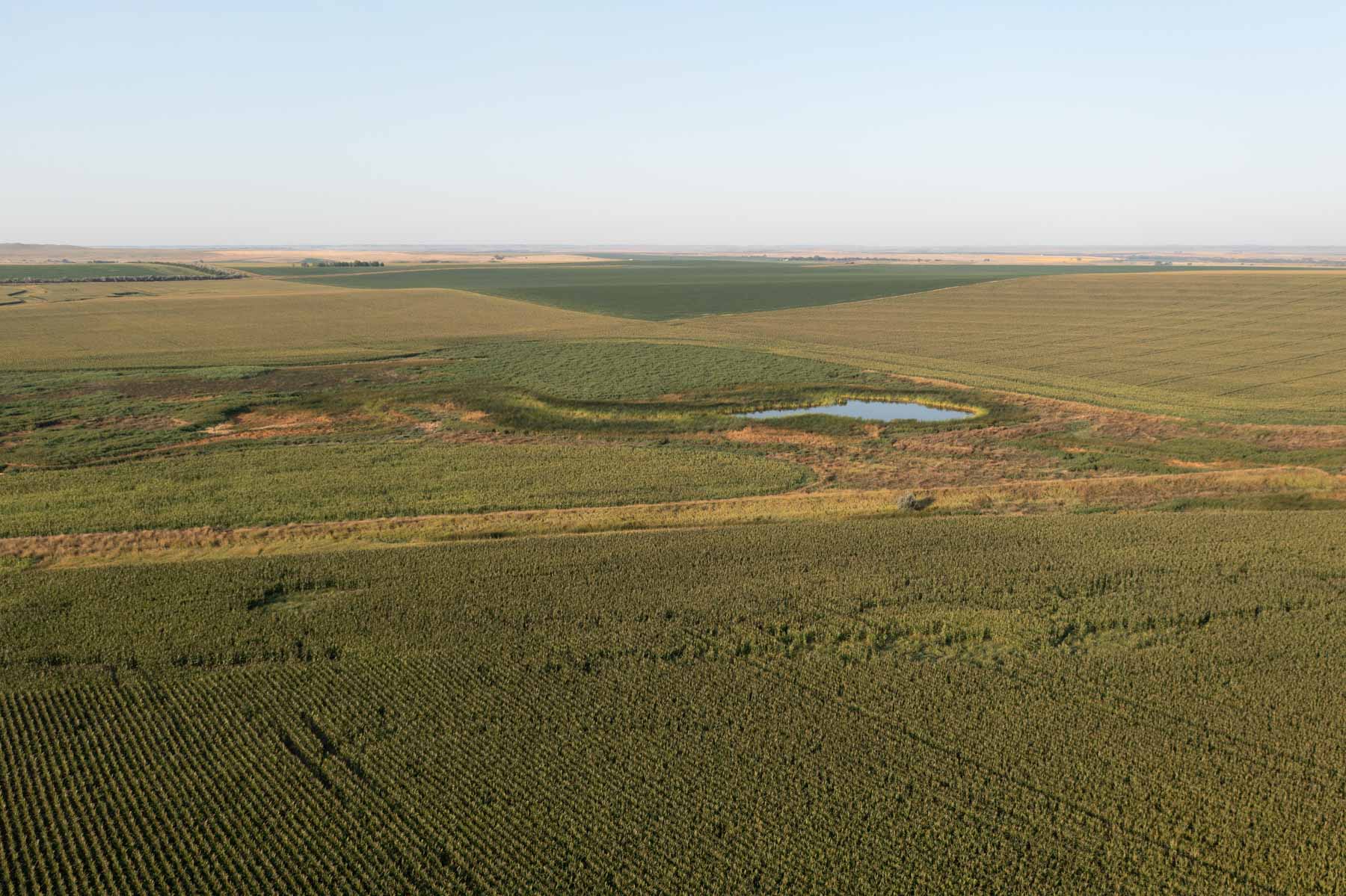 Witten Farms property picture 3 of 76