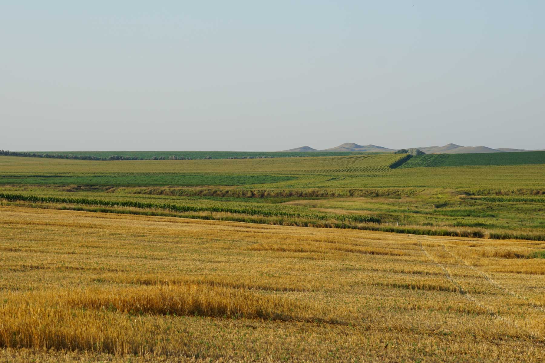 Witten Farms property picture 39 of 76