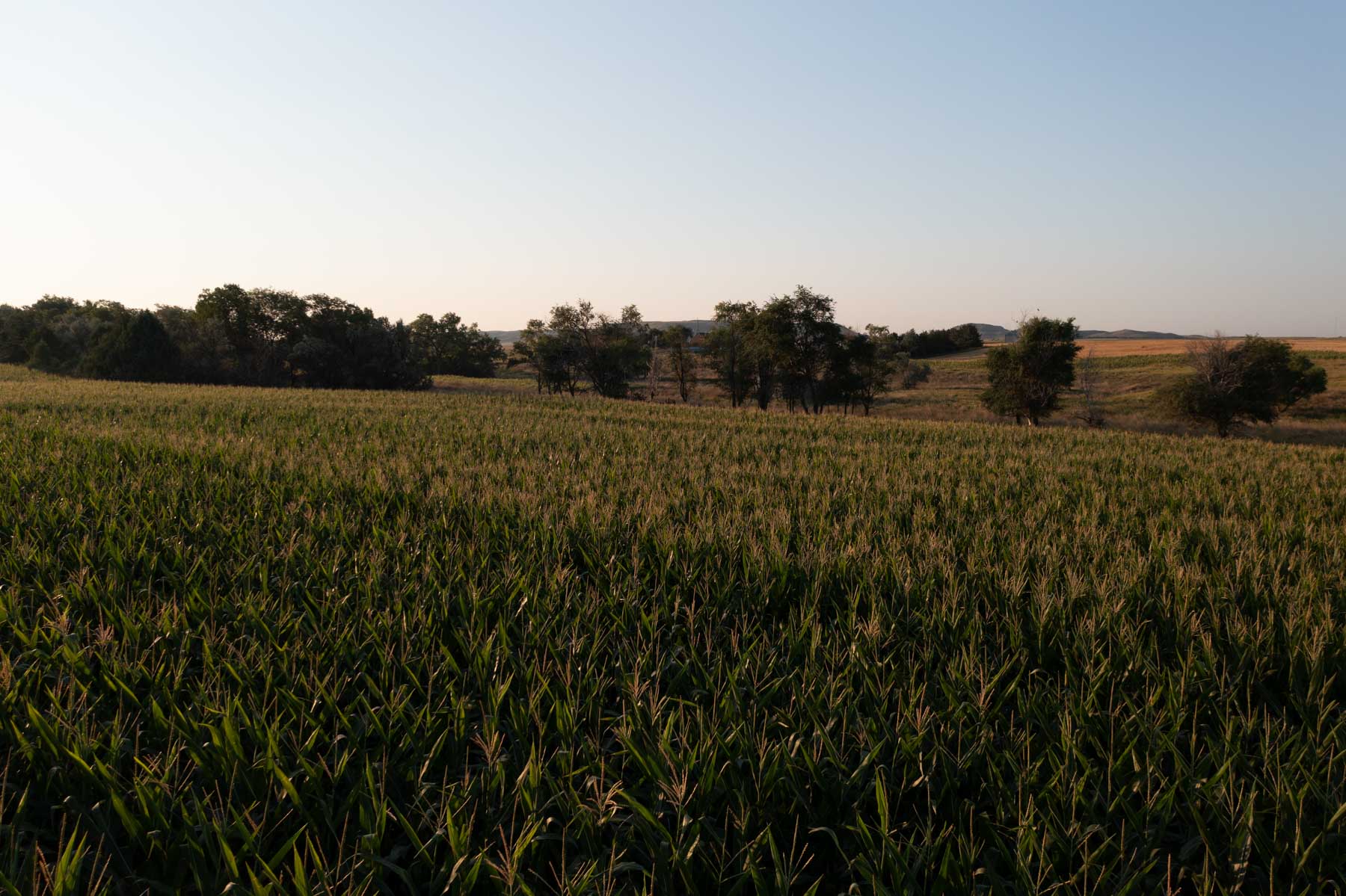 Witten Farms property picture 28 of 76