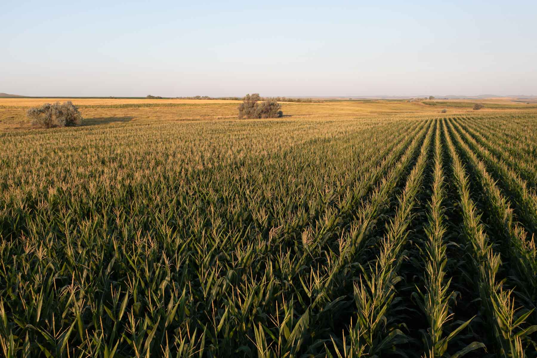 Witten Farms property picture 29 of 76