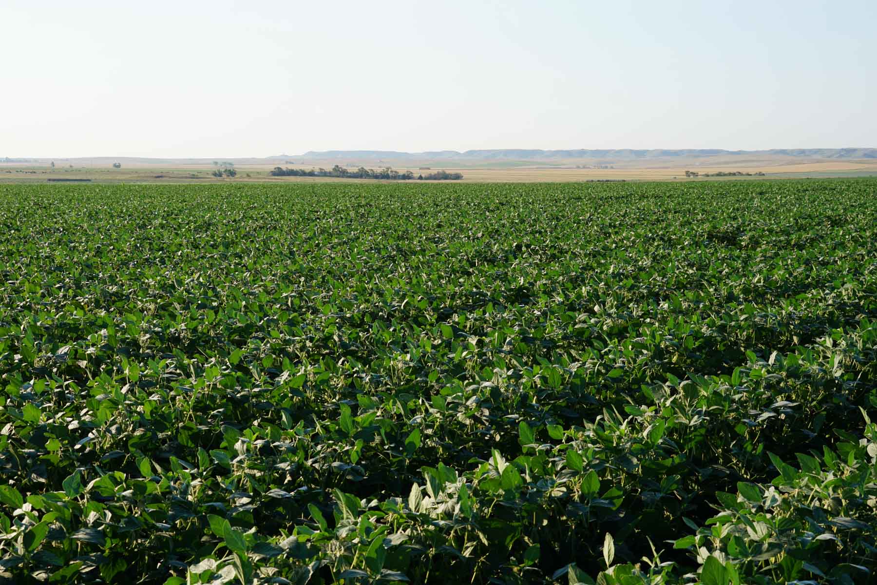 Witten Farms property picture 23 of 76