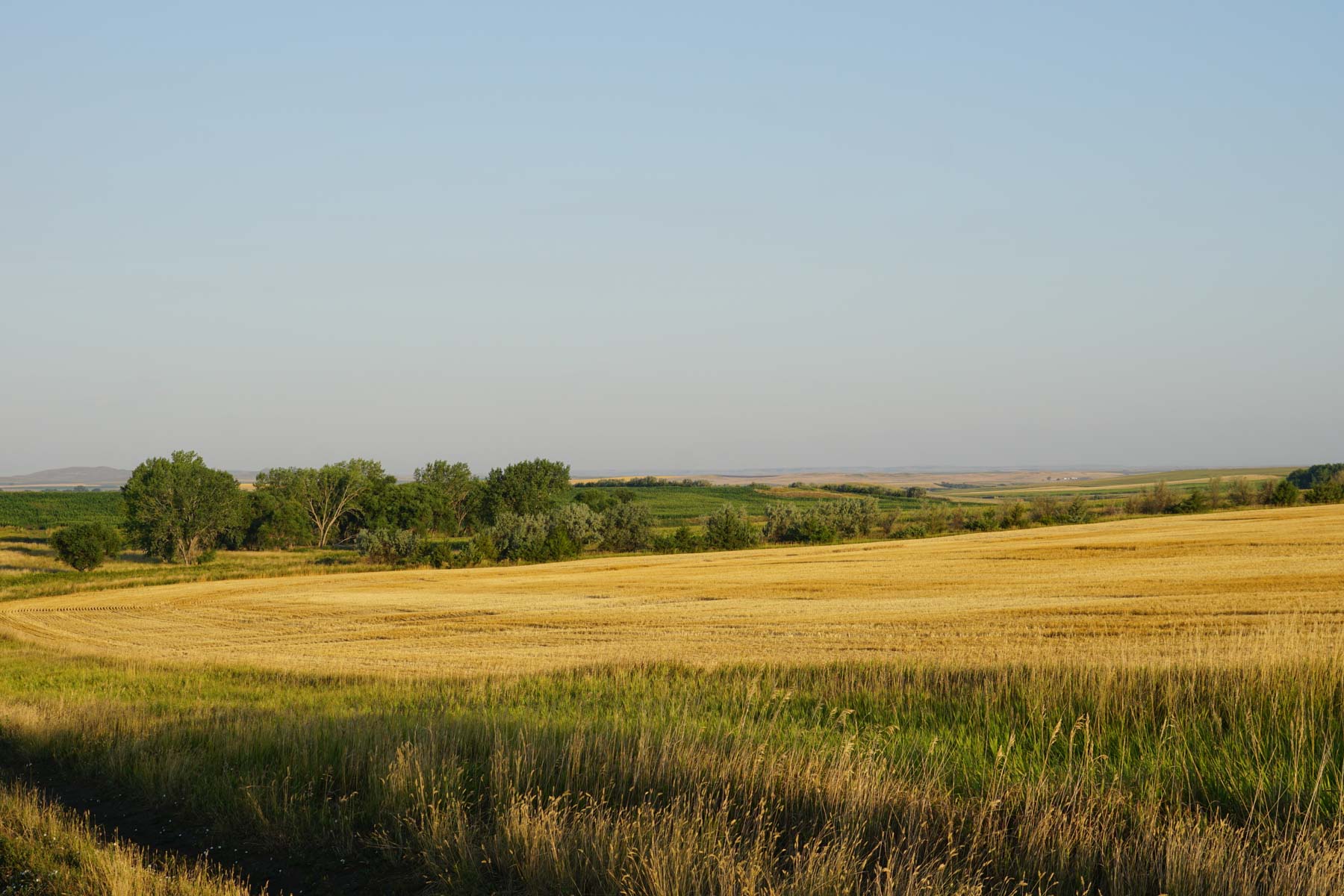 Witten Farms property picture 21 of 76