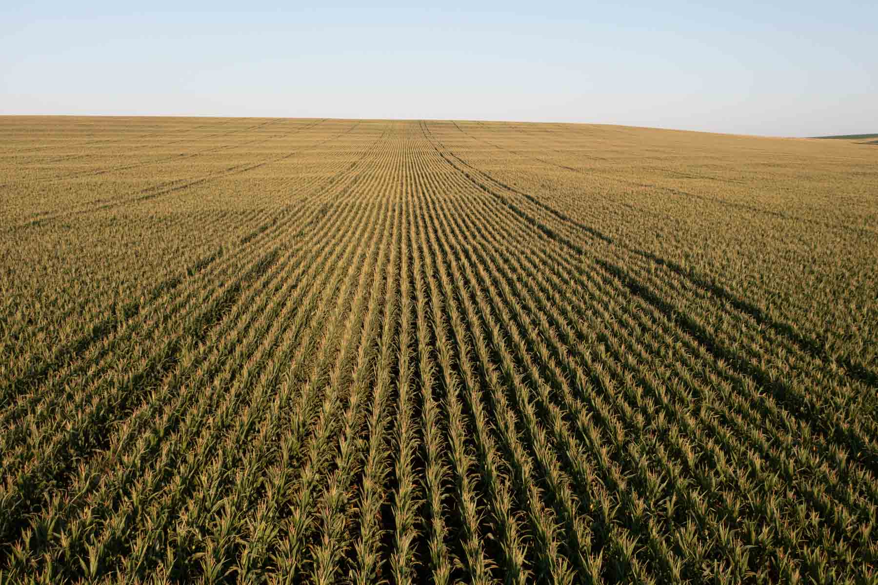 Witten Farms property picture 4 of 76