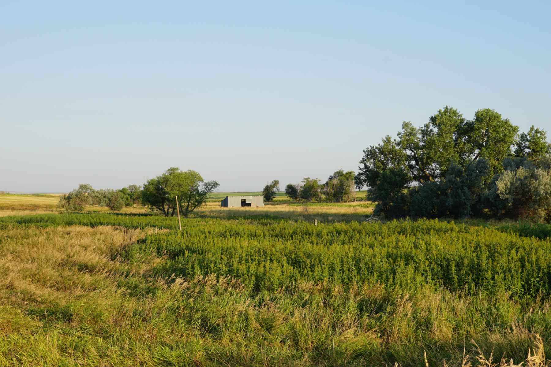 Witten Farms property picture 7 of 76