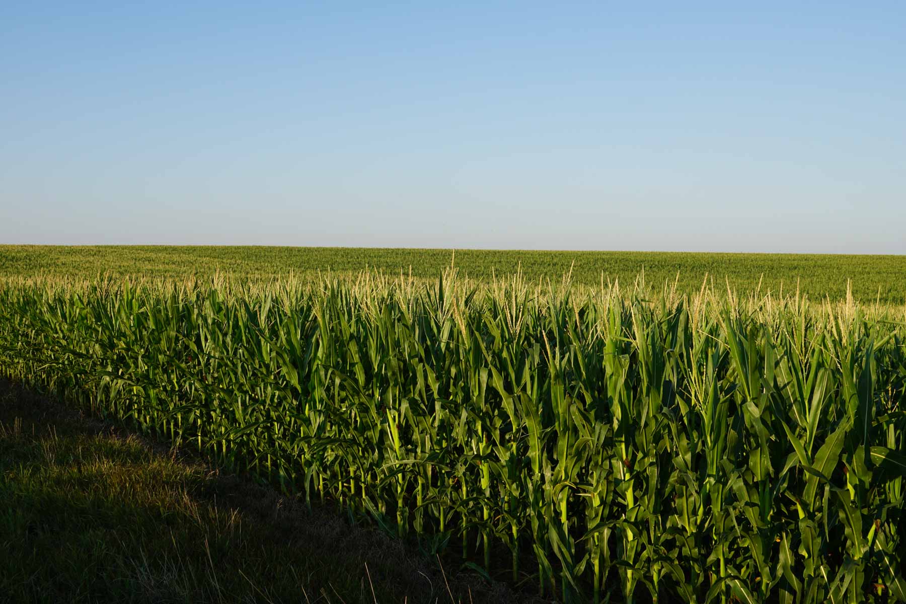 Witten Farms property picture 52 of 76