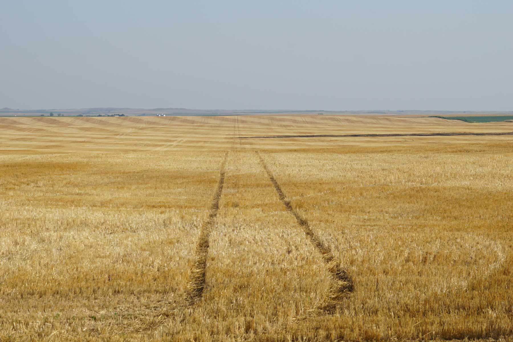 Witten Farms property picture 12 of 76