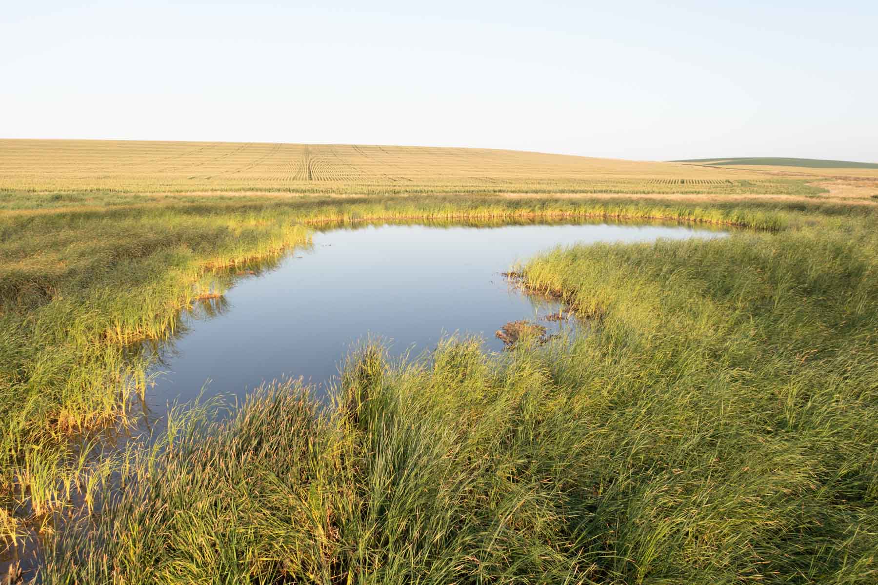 Witten Farms property picture 10 of 76