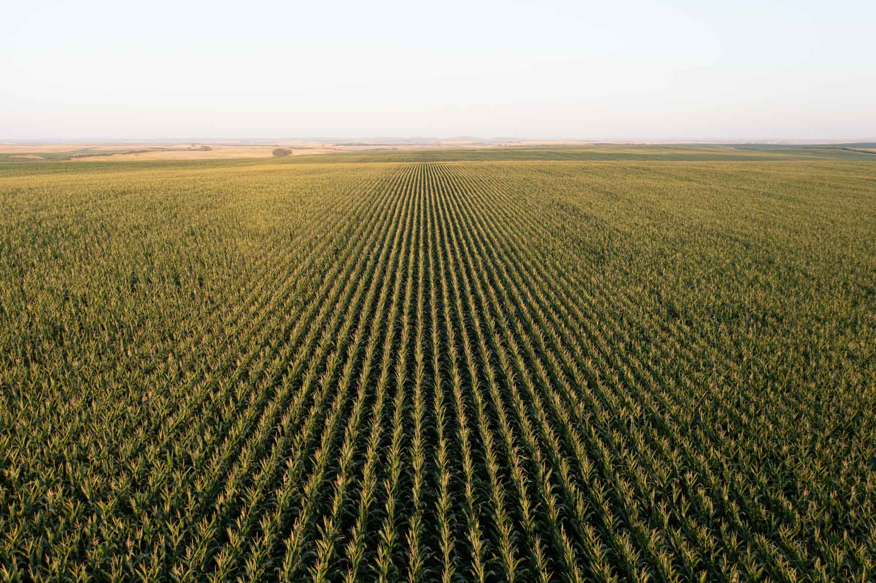 Witten Farms property picture 31 of 76