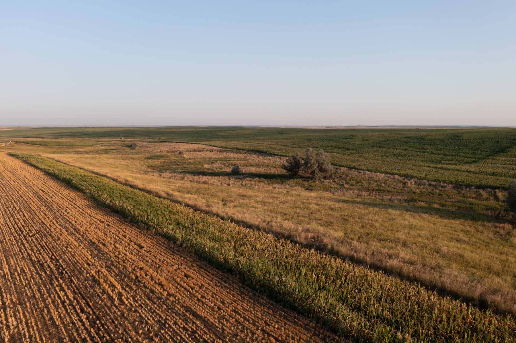 Witten Farms property picture 27 of 76