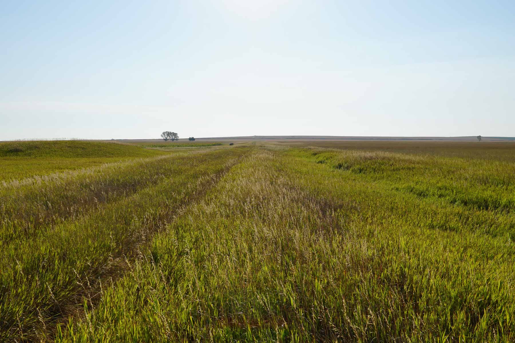 Witten Farms property picture 17 of 76