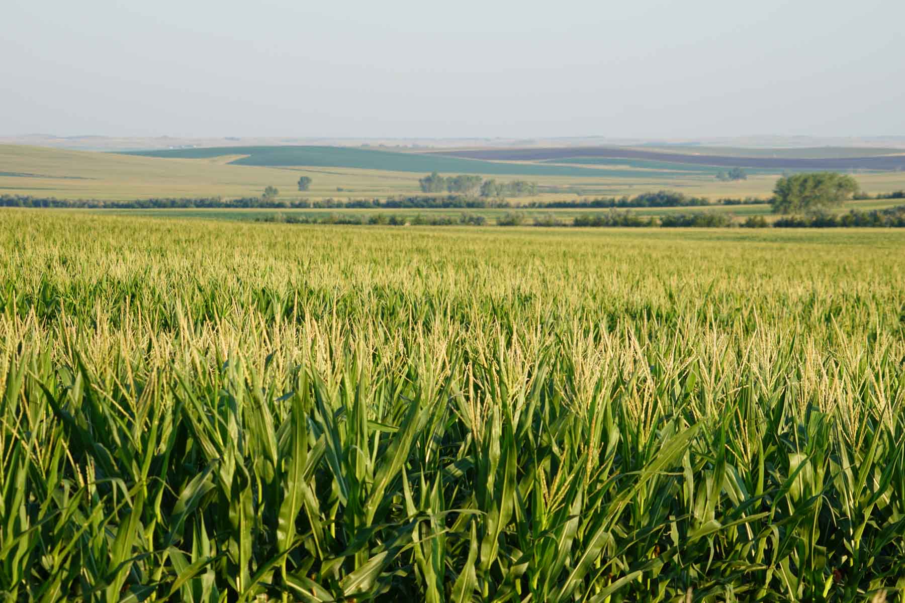 Witten Farms property picture 57 of 76