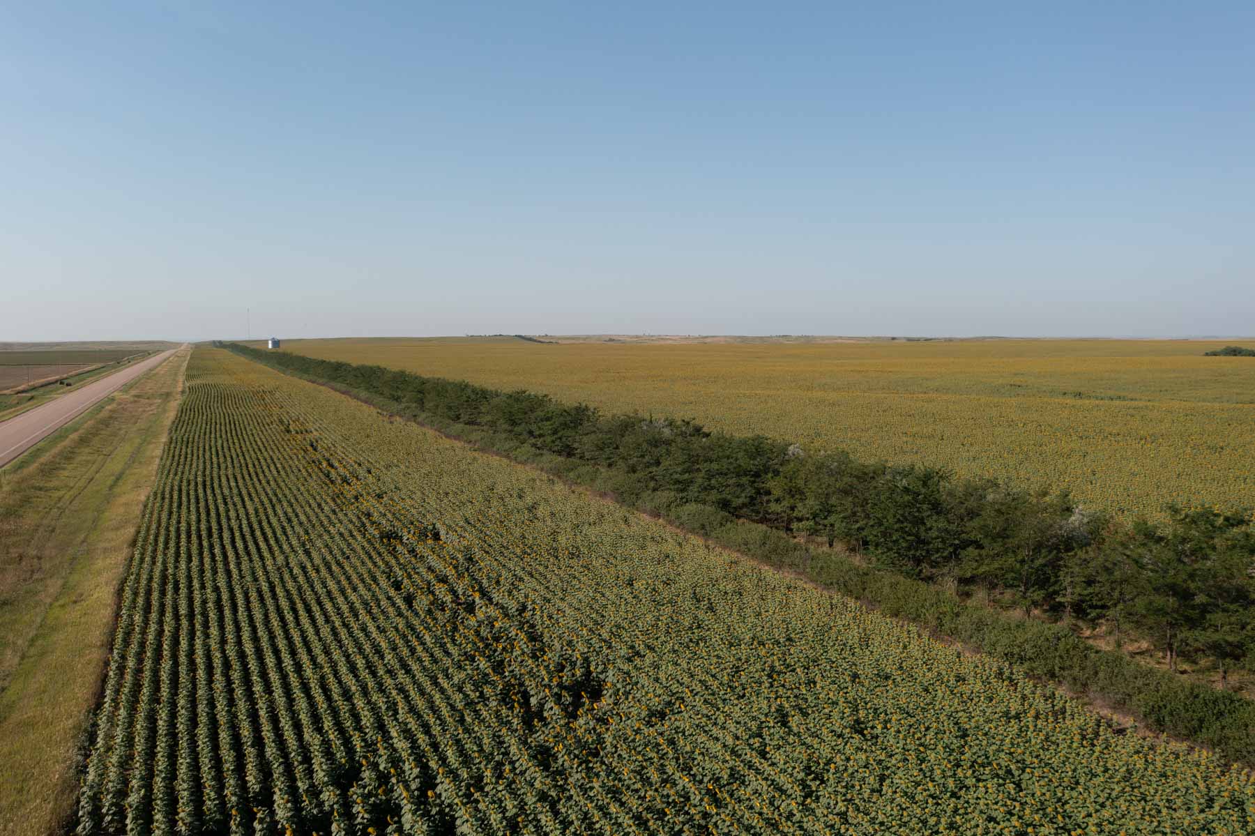 Witten Farms property picture 63 of 76