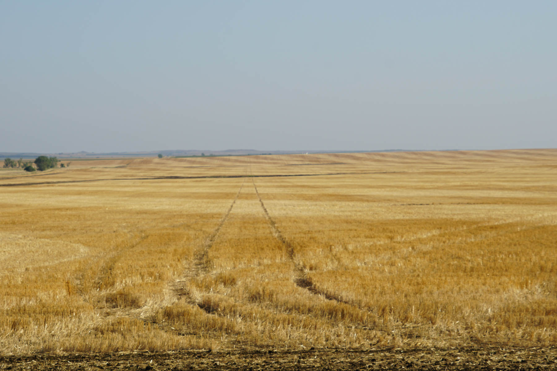 Witten Farms property picture 14 of 76