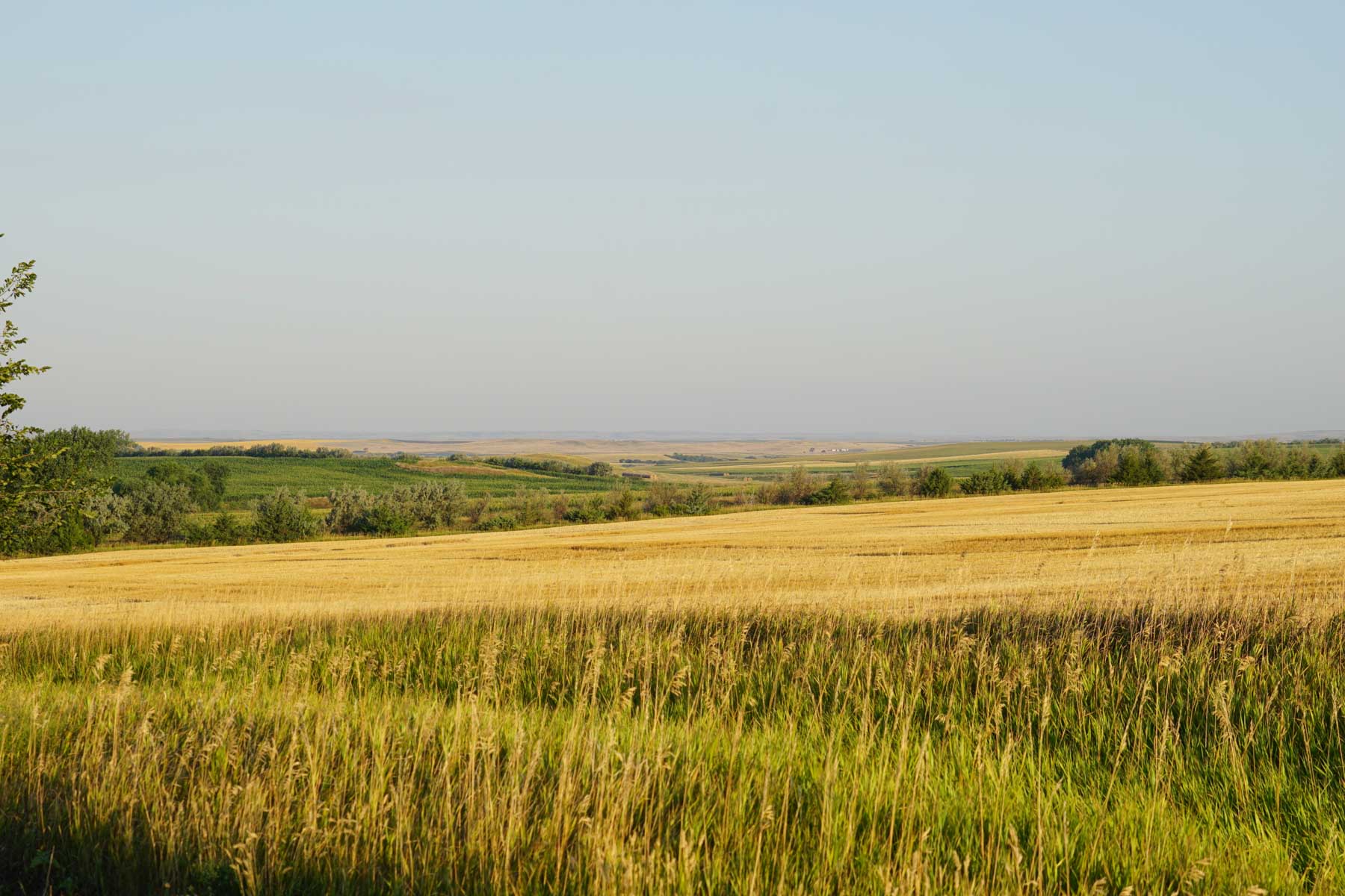 Witten Farms property picture 30 of 76