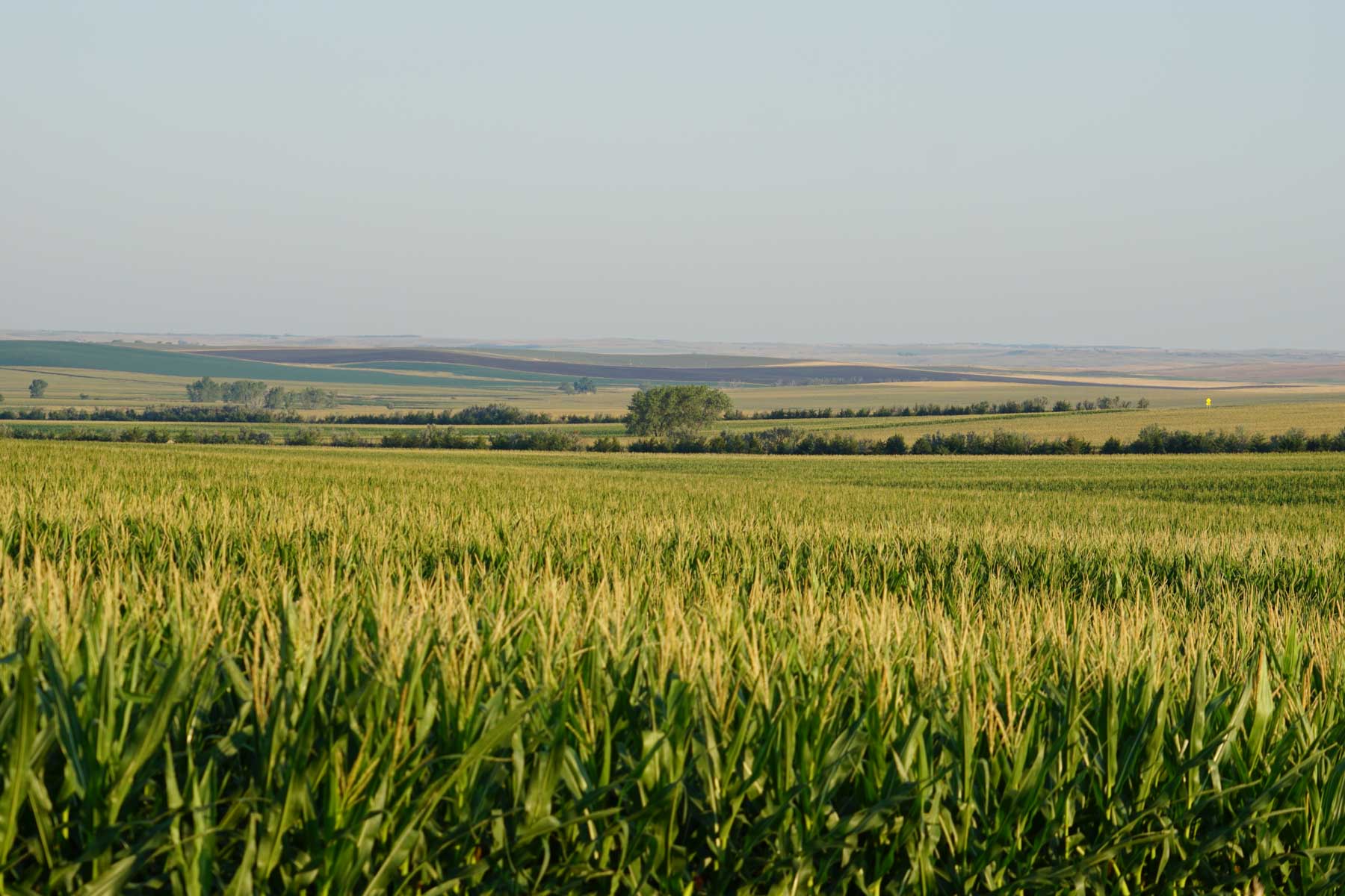 Witten Farms property picture 56 of 76