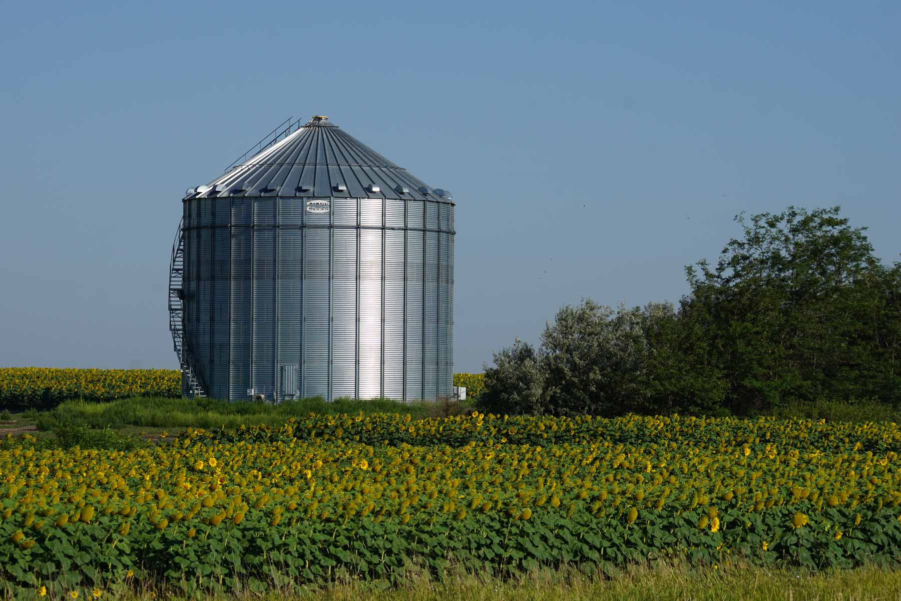 Witten Farms property picture 70 of 76