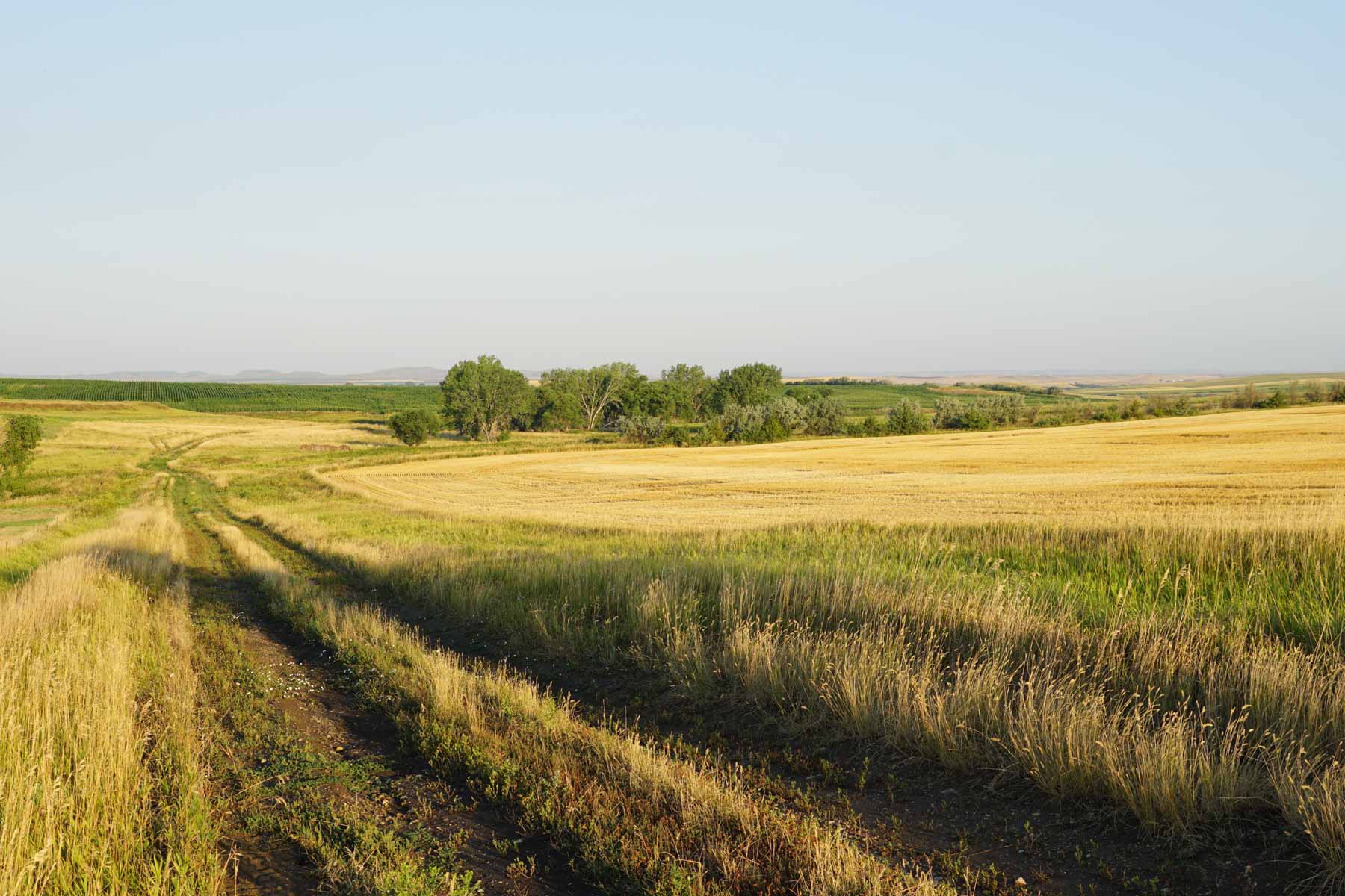 Witten Farms property picture 2 of 76
