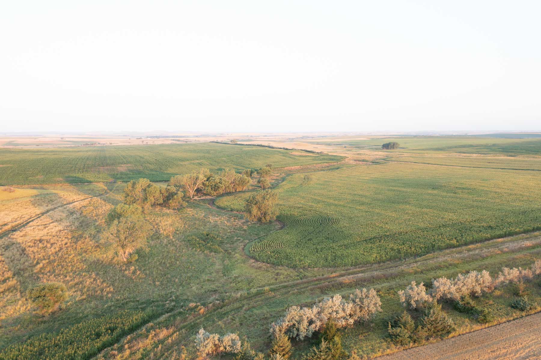 Witten Farms property picture 44 of 76