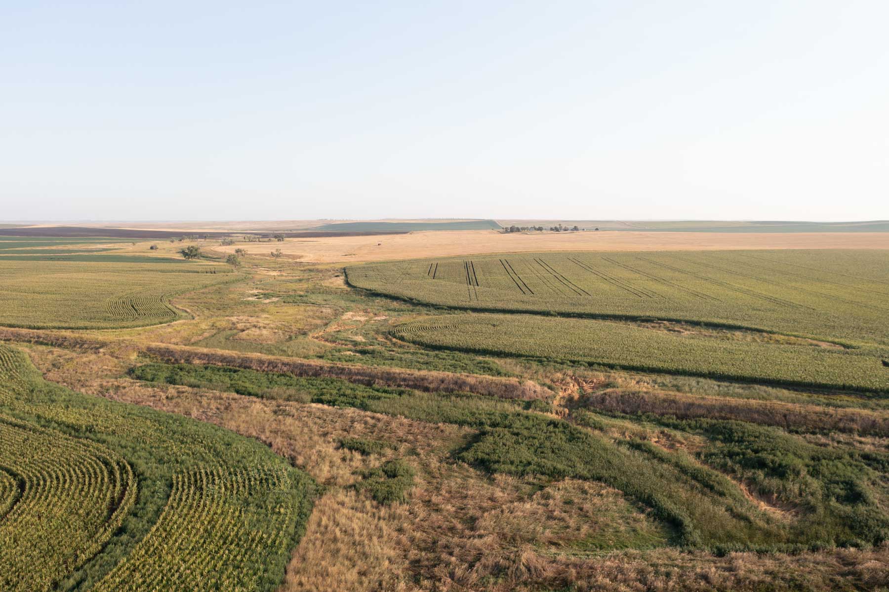 Witten Farms property picture 5 of 76