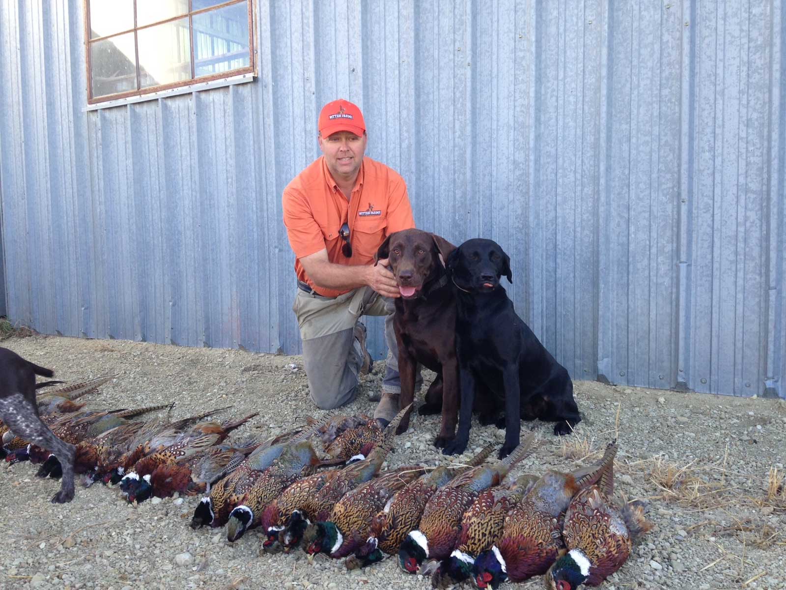 Witten Farms property picture 2 of 76