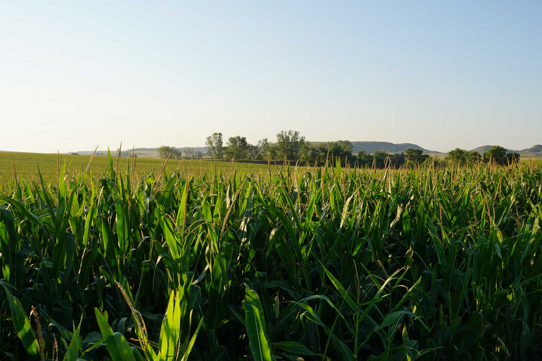 Witten Farms property picture 59 of 76