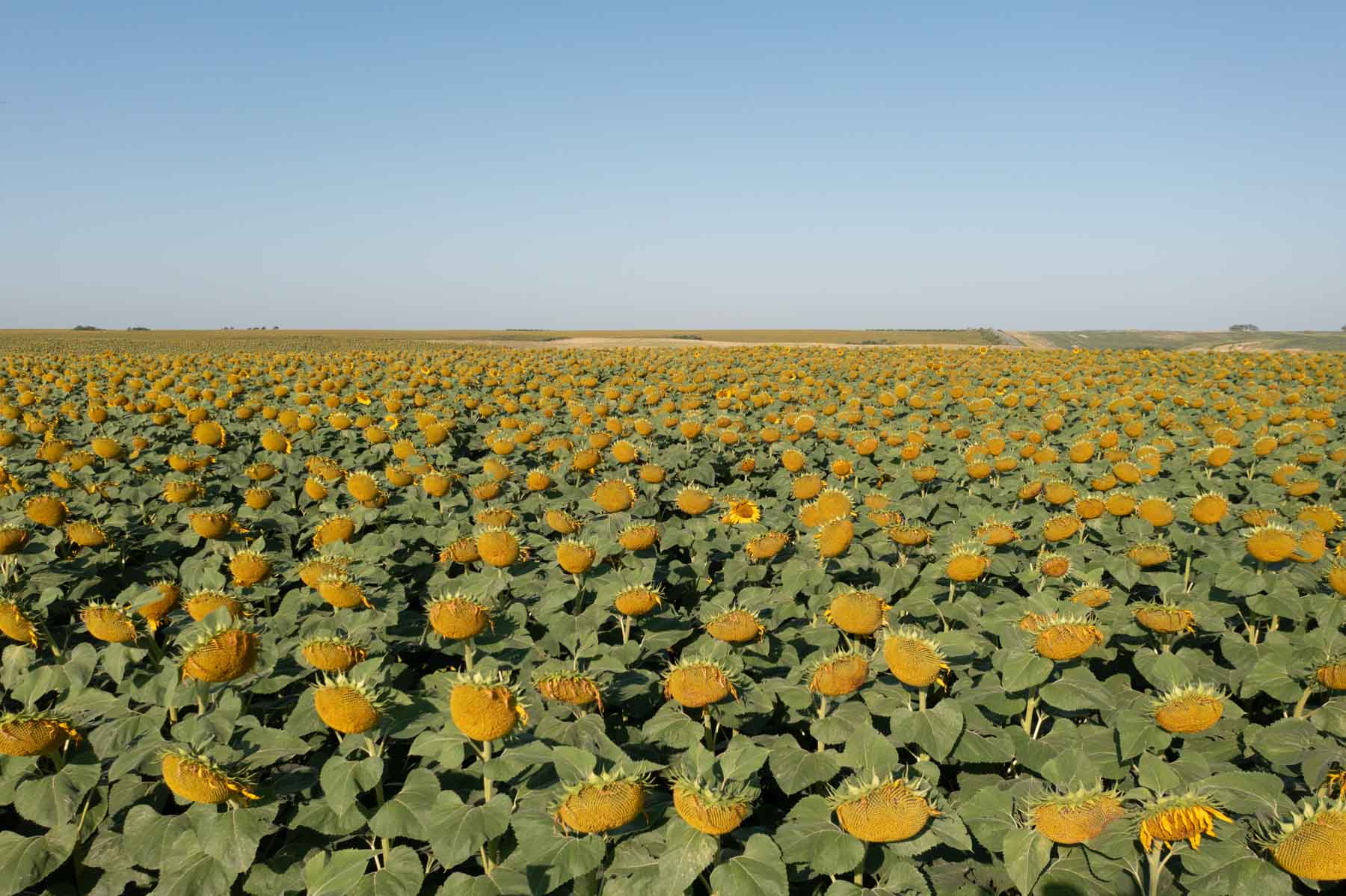 Witten Farms property picture 64 of 76