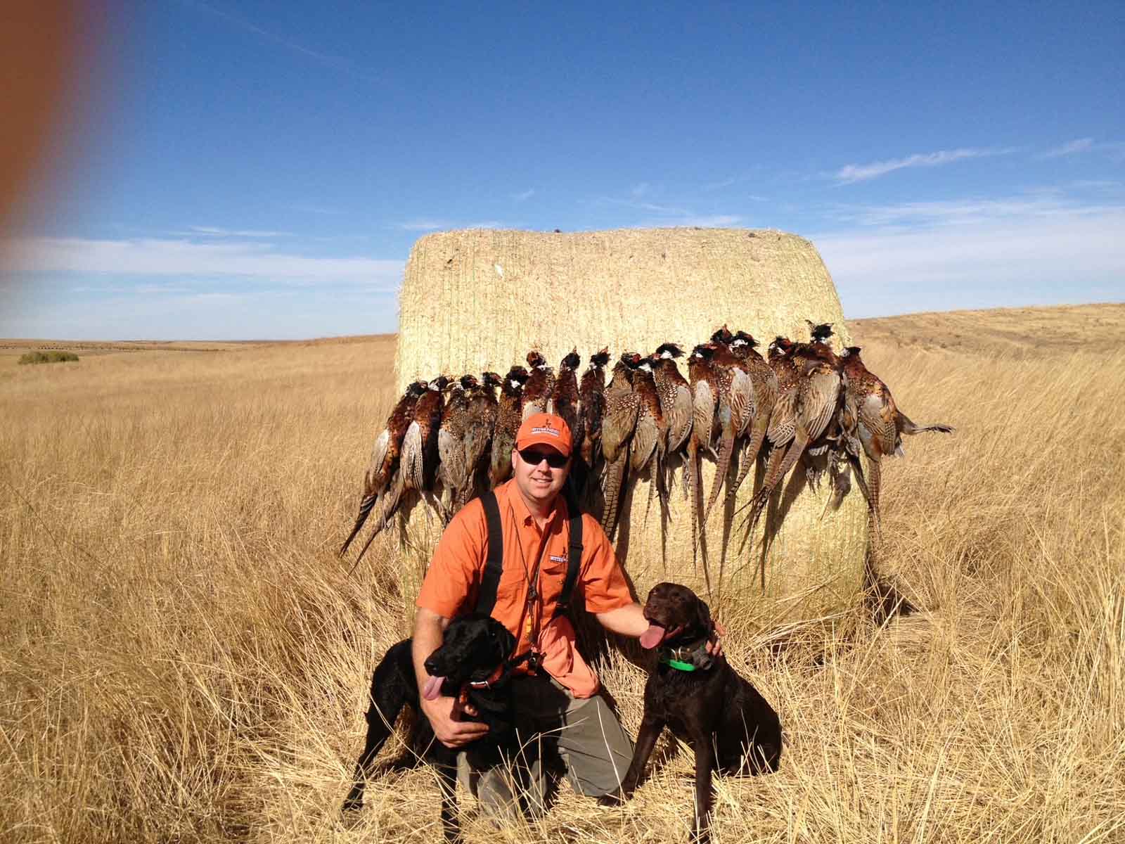 Witten Farms property picture 4 of 76