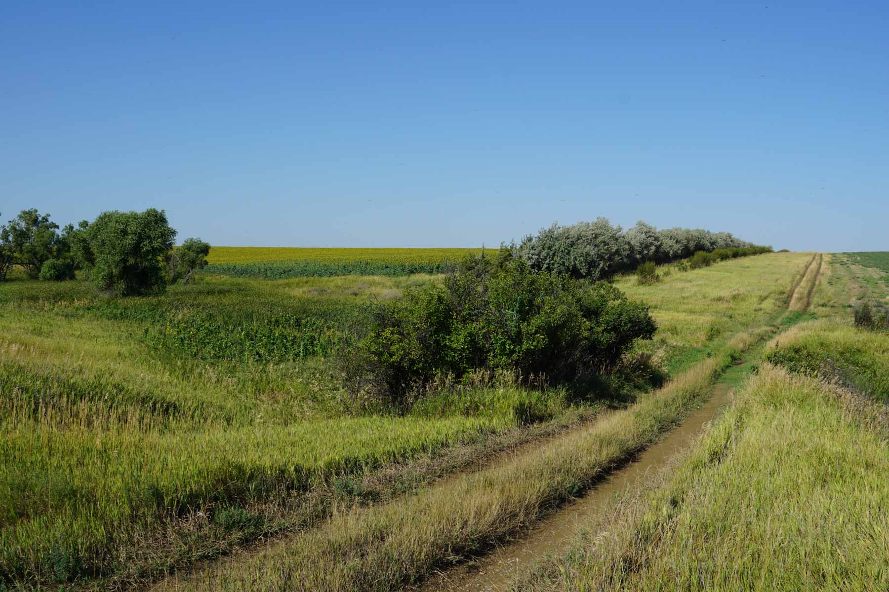 Witten Farms property picture 65 of 76