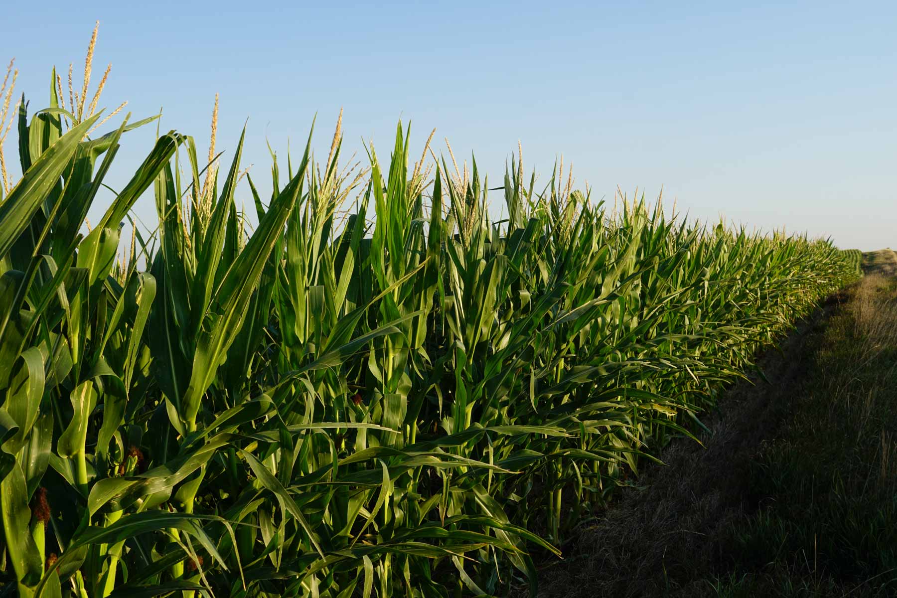 Witten Farms property picture 55 of 76