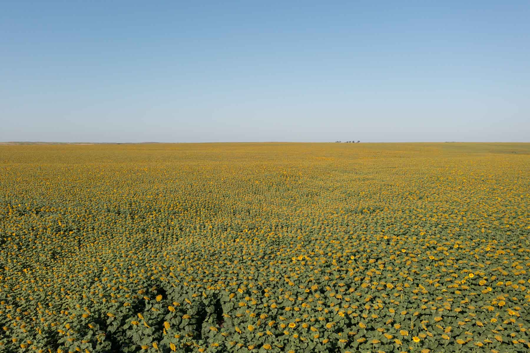 Witten Farms property picture 62 of 76