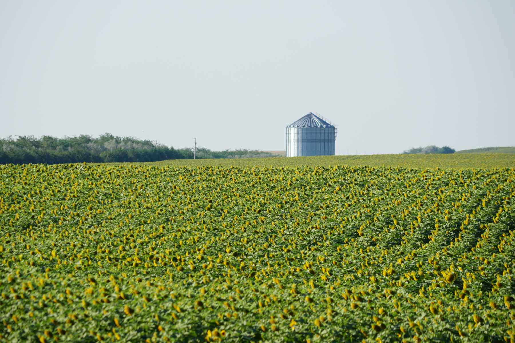 Witten Farms property picture 68 of 76