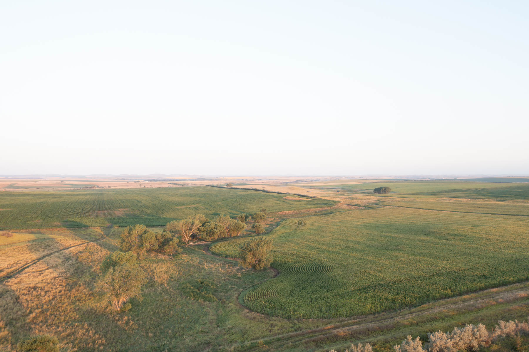 Witten Farms property picture 45 of 76