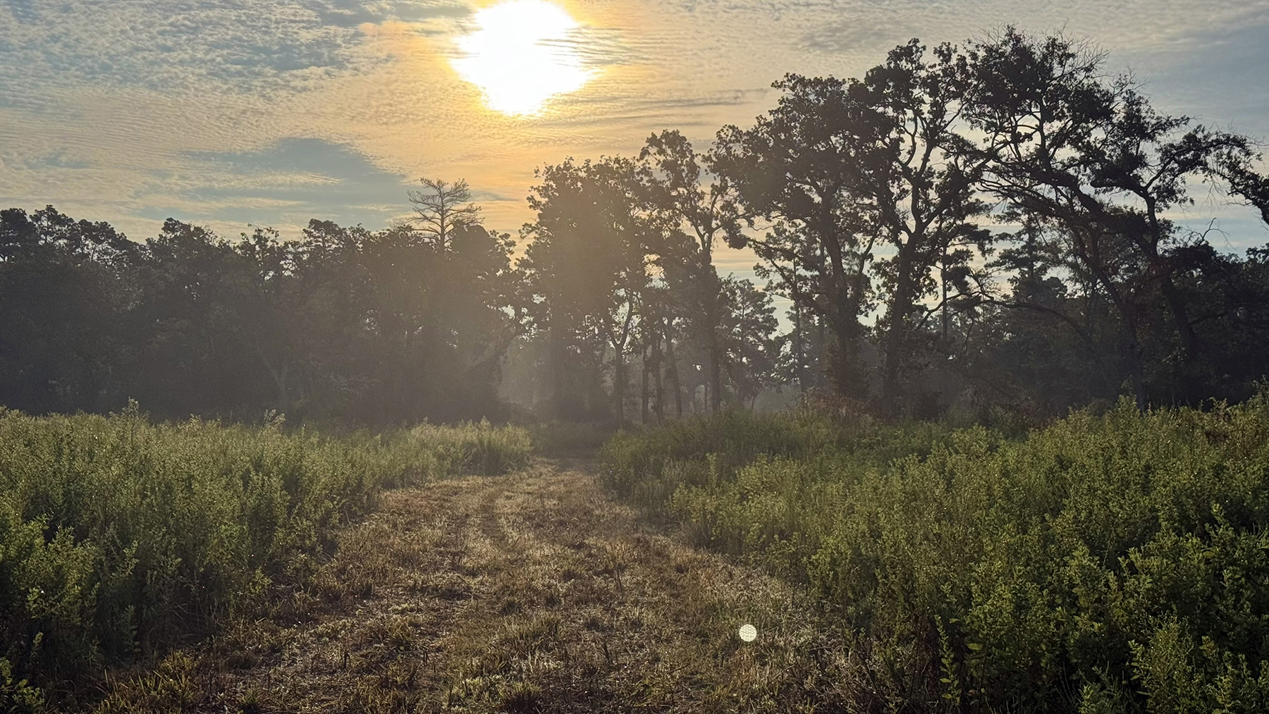 High Pines Reserve property picture 32 of 40