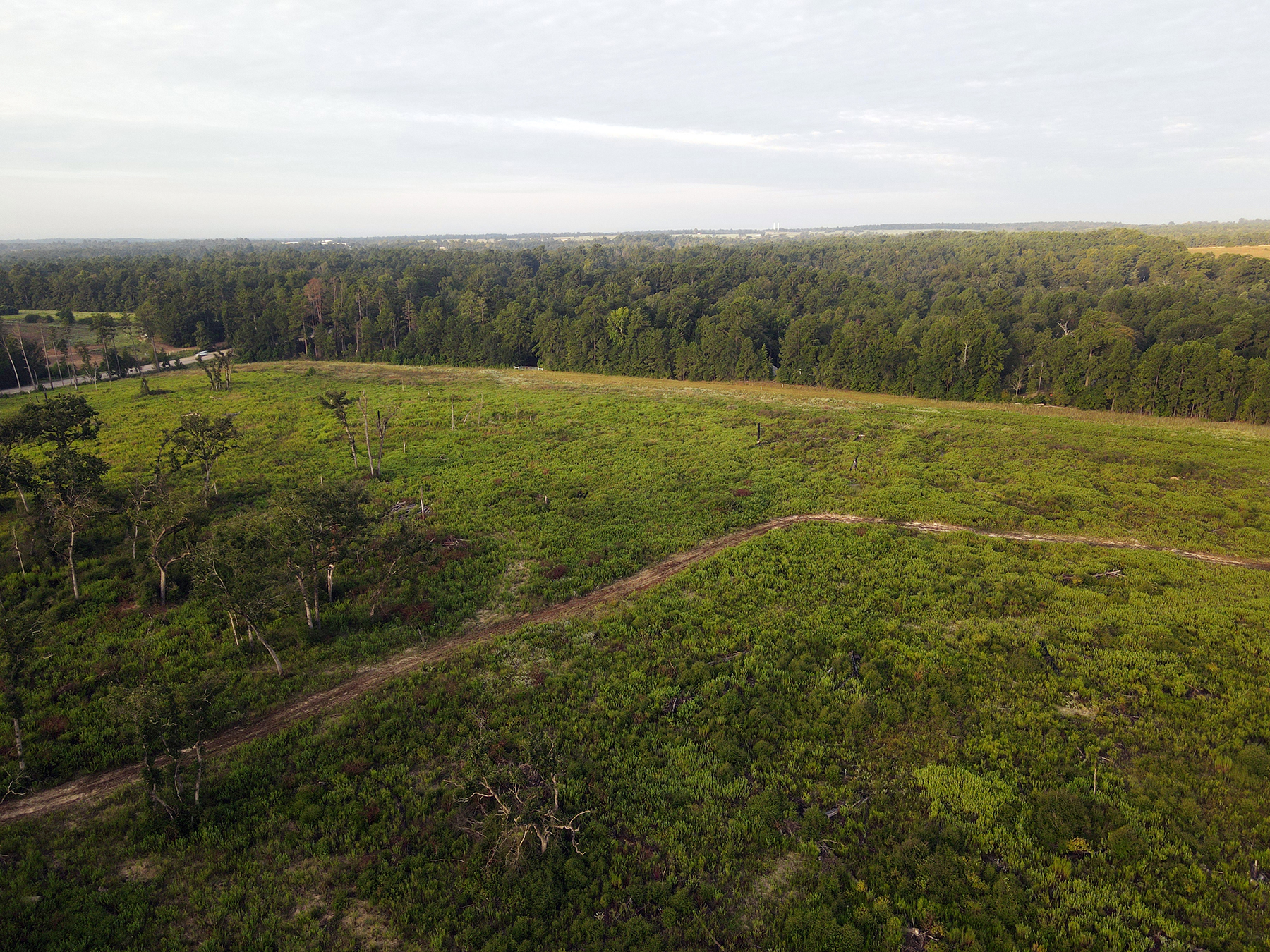 High Pines Reserve property picture 21 of 40