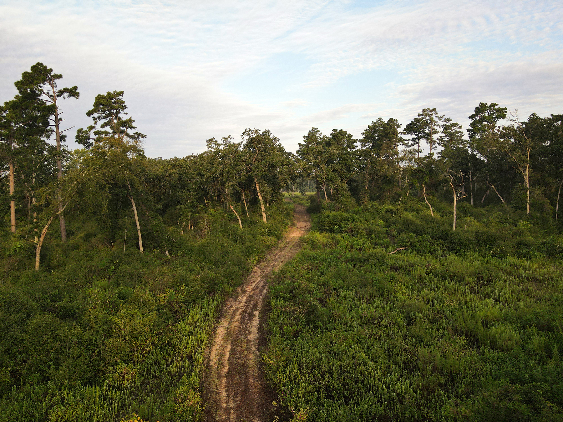 High Pines Reserve property picture 16 of 40