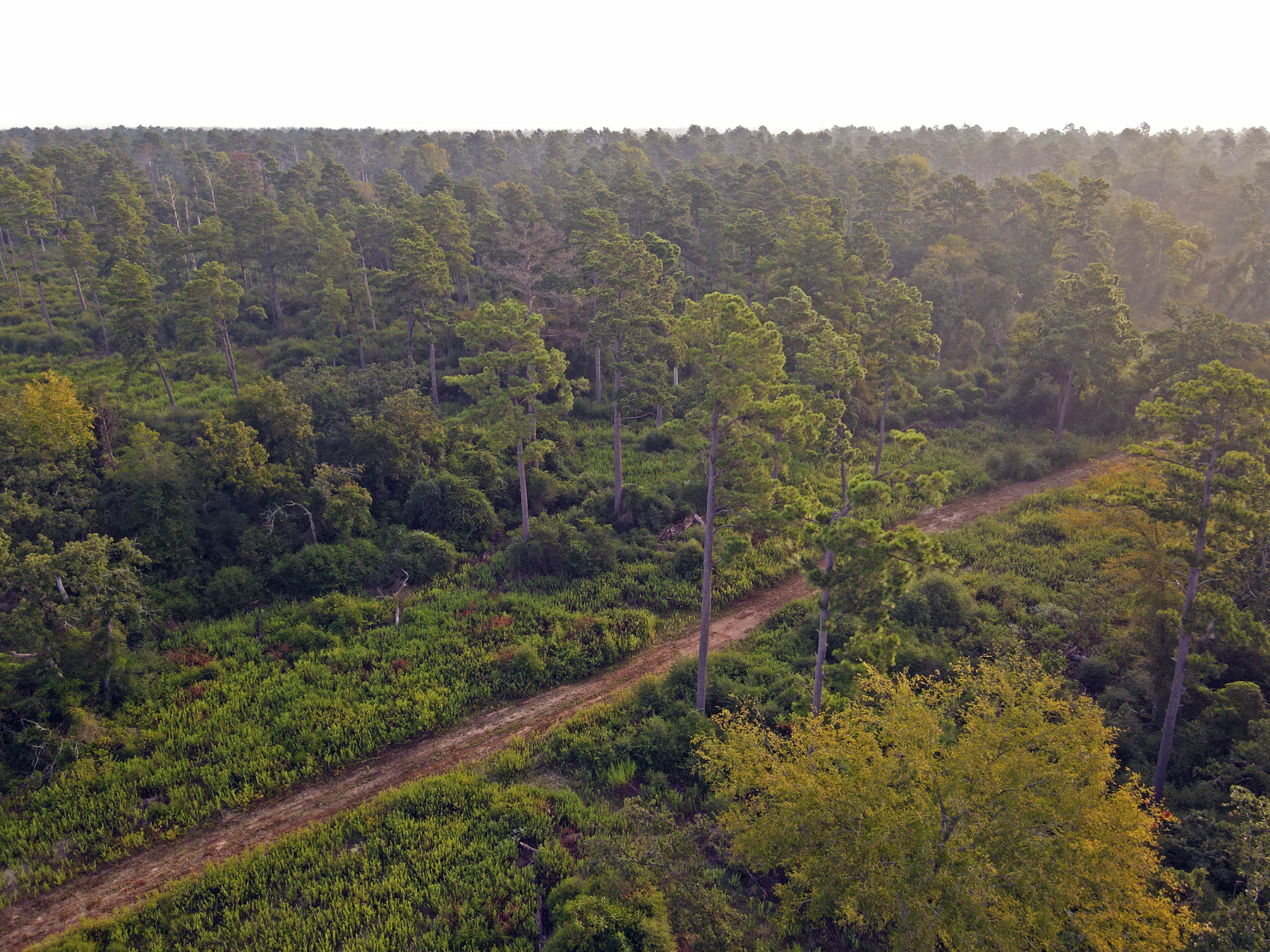 High Pines Reserve property picture 39 of 40