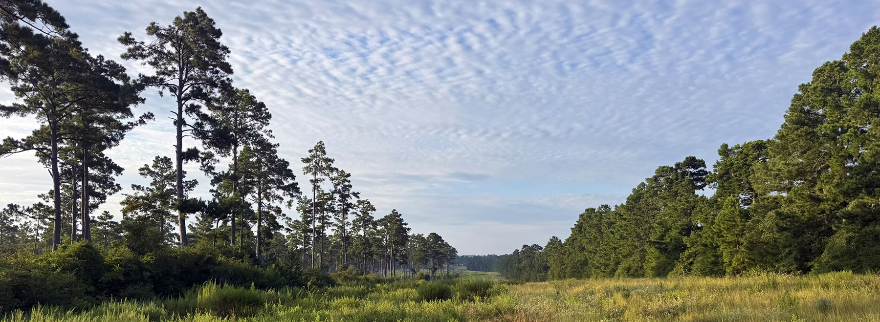 High Pines Reserve property picture 1 of 40