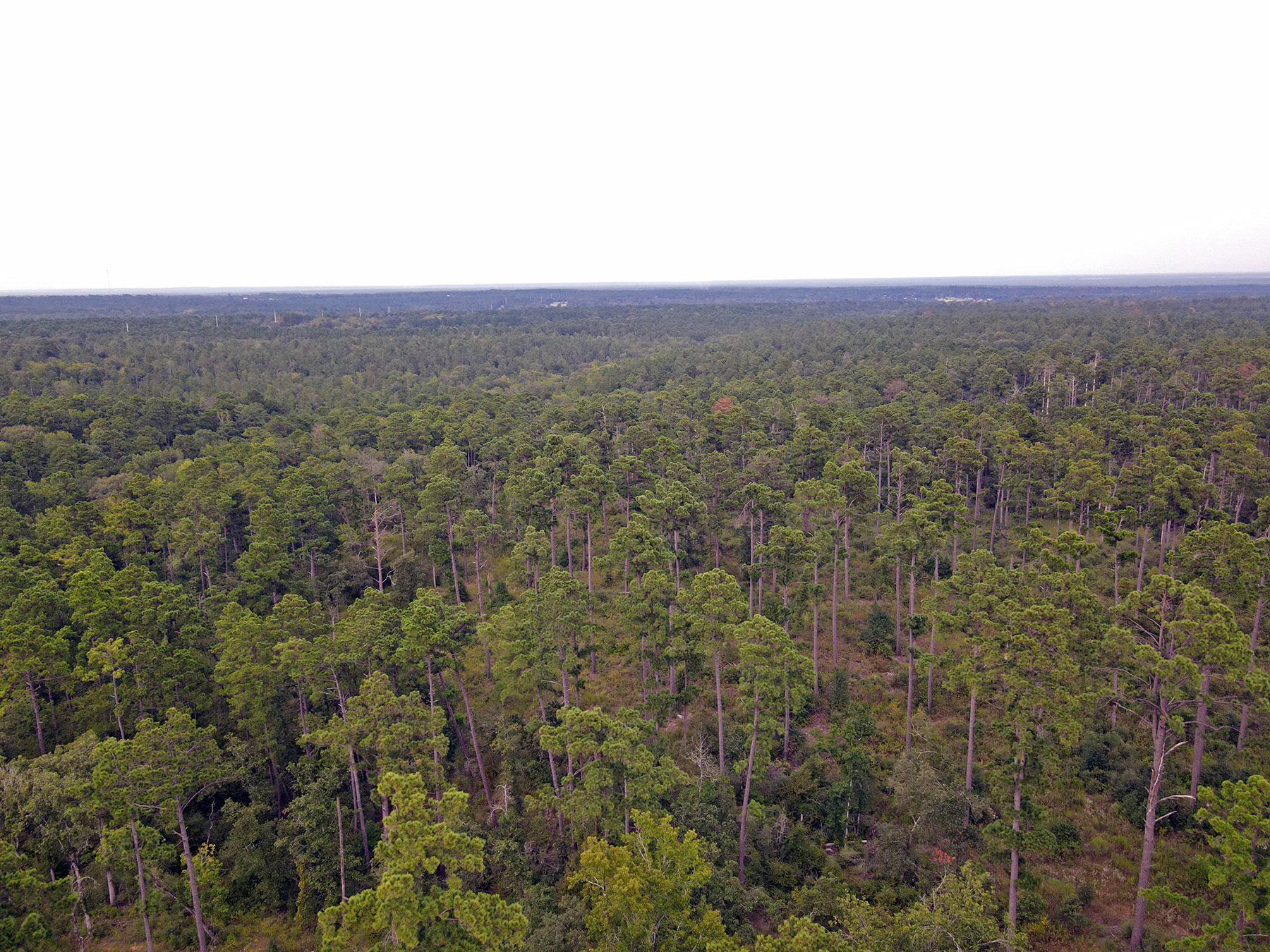 High Pines Reserve property picture 12 of 40