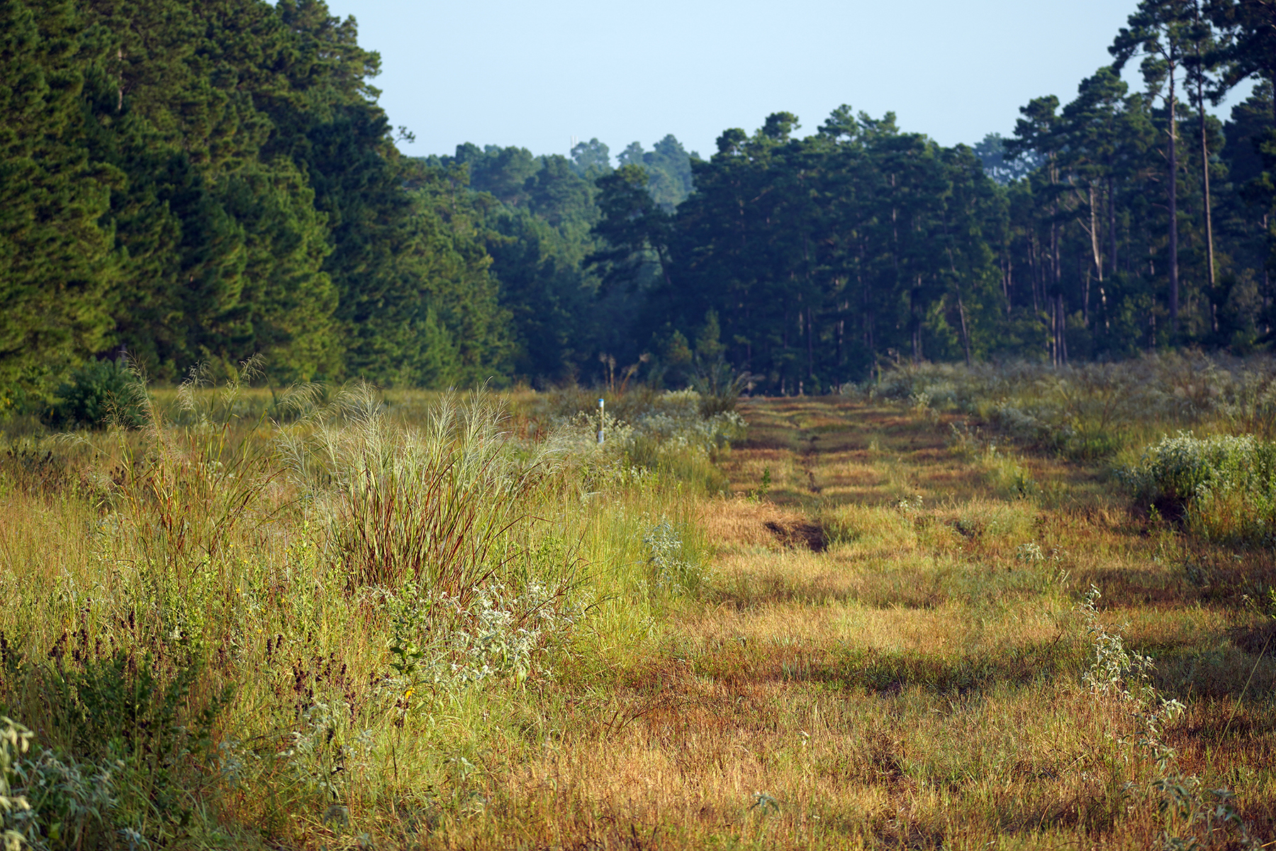 High Pines Reserve property picture 7 of 40