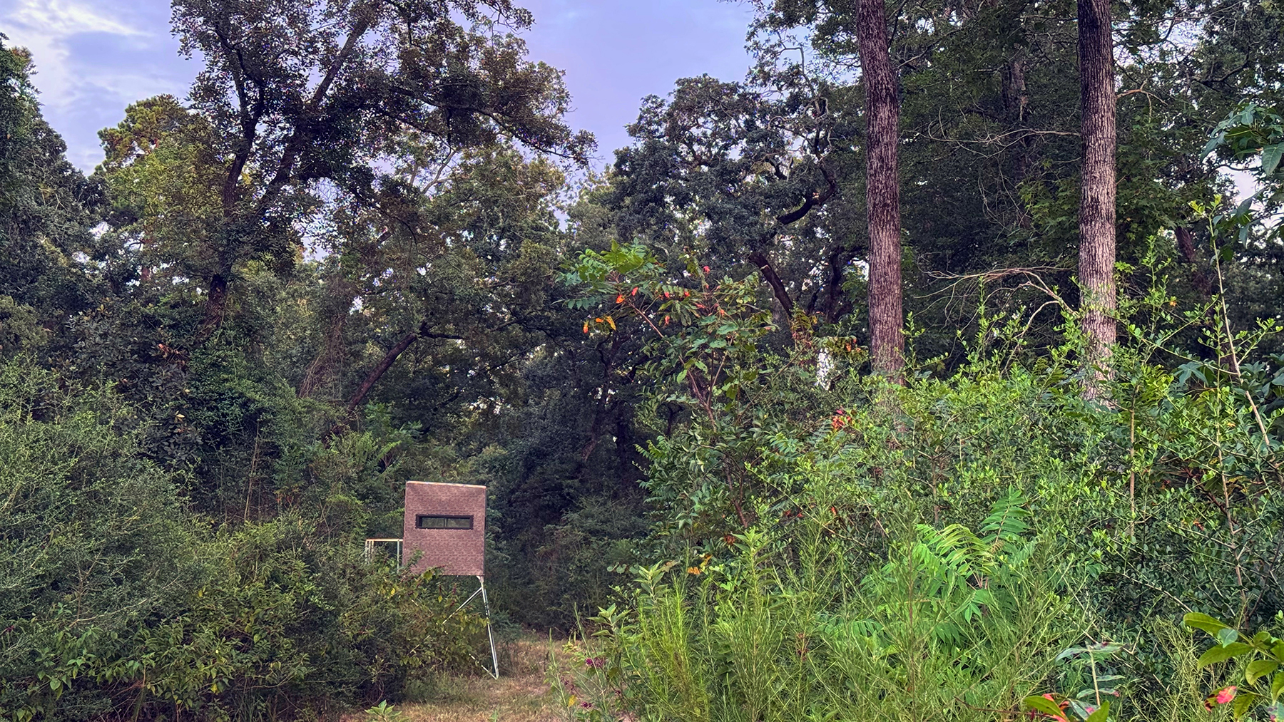 High Pines Reserve property picture 28 of 40