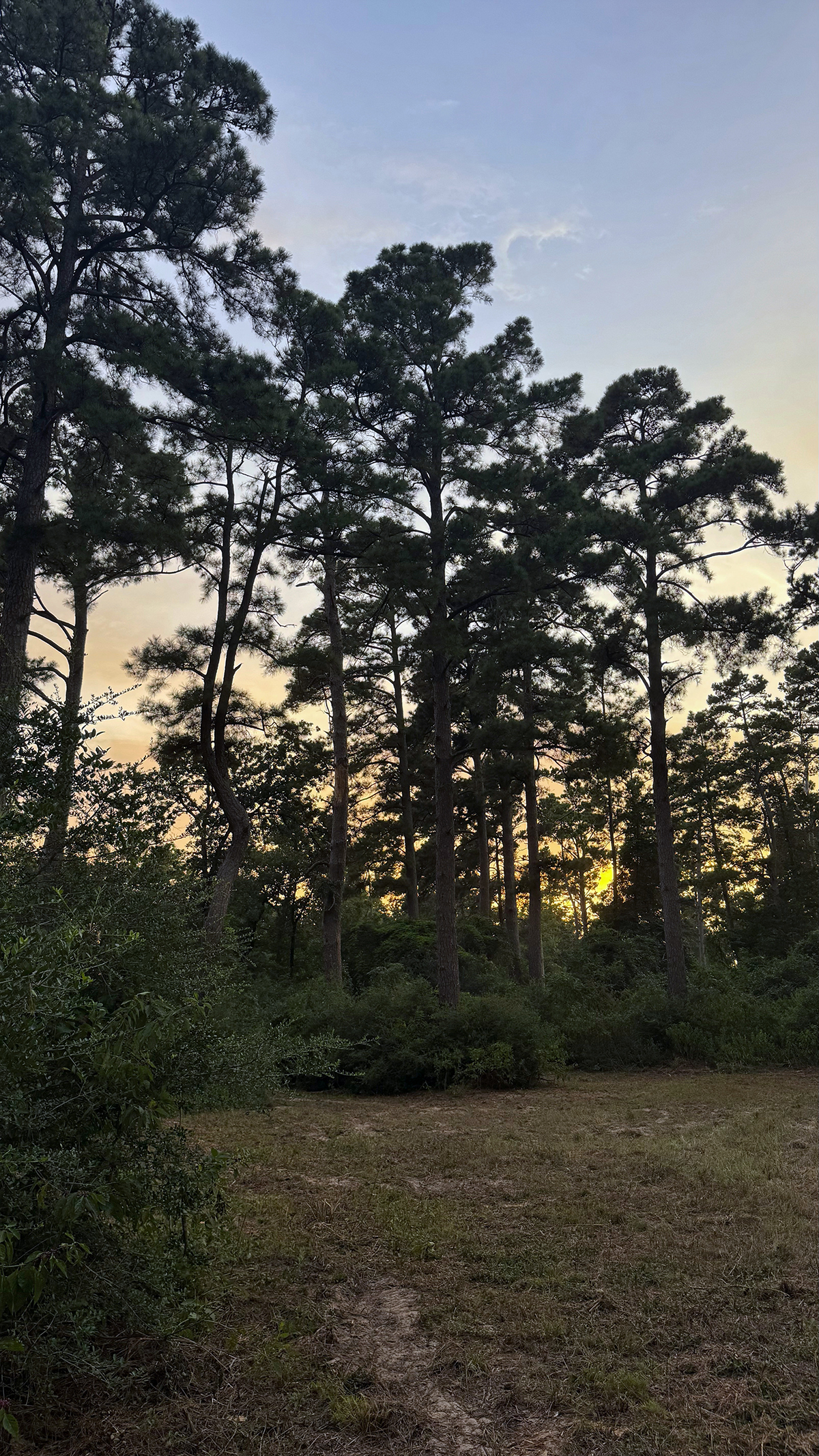 High Pines Reserve property picture 31 of 40